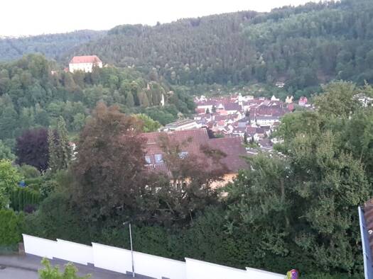 Wohnung zur Miete 400 € 1,5 Zimmer 40 m² Geschoss 3/4 frei ab 06.04.2026 Neuenbürg 75305