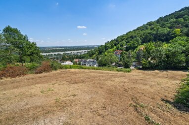 Grundstück zum Kauf 1.298.000 € 2.369 m² Grundstück Klosterneuburg 3400