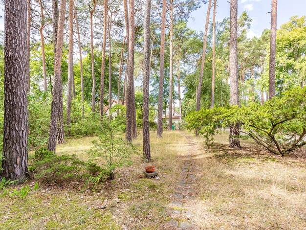 Grundstück zum Kauf 260.000 € 1.175 m² Grundstück Rangsdorf Rangsdorf 15834