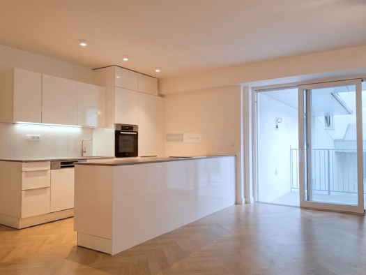 Wohnung zur Miete 27,26 € 4 Zimmer 110 m² Obere Weißgerberstraße Wien 1030