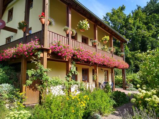 Terrassenwohnung zur Miete 360 € 2 Zimmer 39 m² frei ab 01.02.2026 Am Tiefbrunnen 4 Burghaig Kulmbach 95326