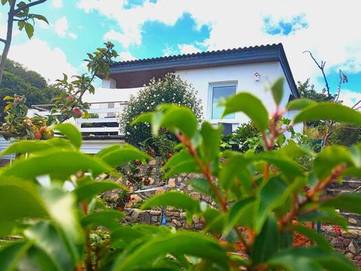 Gartenhaus zum Kauf 30.000 € 1 Zimmer 30 m² 390 m² Grundstück frei ab sofort Buschvitz Buschvitz 18528