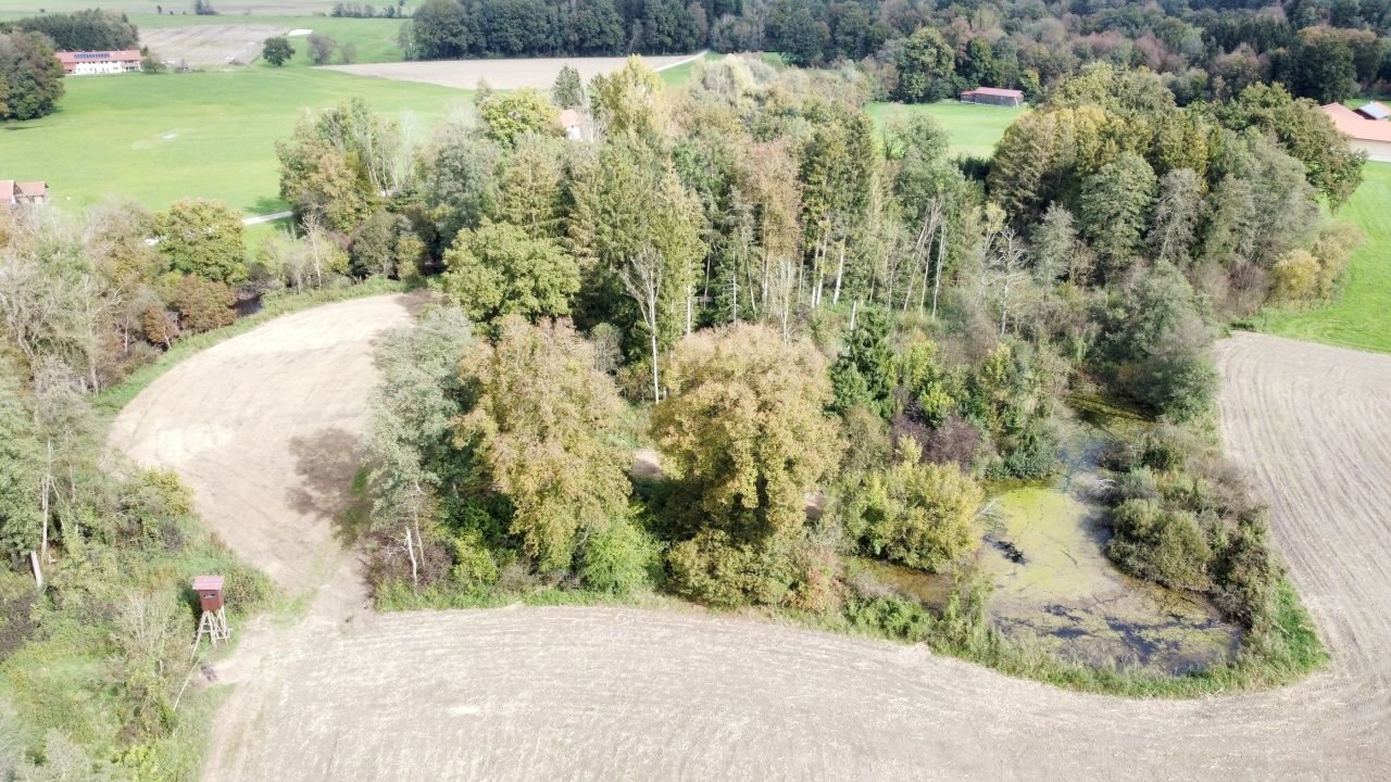 Freizeitgrundstück zum Kauf 198.000 € 9.658 m²<br/>Grundstück Schalldorf Emmering 83550