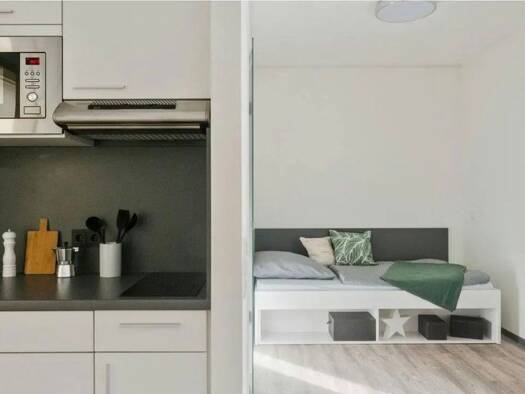 Studio zur Miete 659 € 1 Zimmer 19 m² Geschoss 2/5 frei ab 01.06.2026 Innere Neustadt Dresden 01099