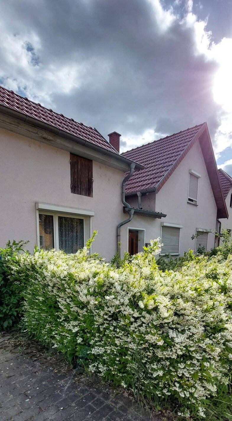 Einfamilienhaus zum Kauf provisionsfrei 75.000 € 4 Zimmer 100 m² 600 m² Grundstück Scherndorf Weißensee 99631