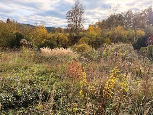 Einfamilienhaus zum Kauf provisionsfrei 411.900 € 5 Zimmer 122 m² 800 m² Grundstück Großeutersdorf 07768