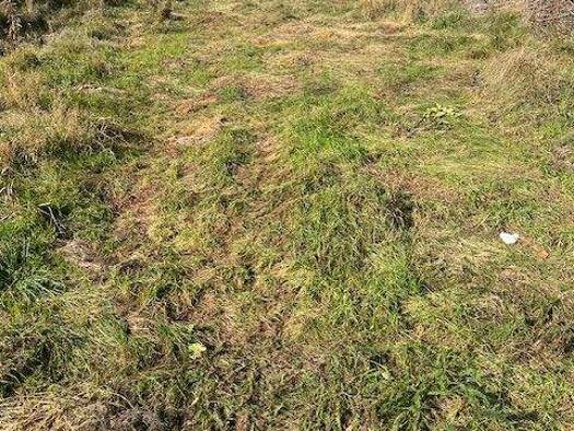 Grundstück zum Kauf 85.000 € 550 m² Grundstück Ortsstrasse 111 Marchegg 2294