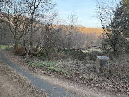 Grundstück zum Kauf 54.500 € 1.149 m² Grundstück Baugenehmigung vorhanden frei ab sofort Döttesfeld 56305