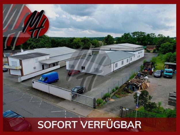 Lagerhalle zur Miete 4,90 € 1.100 m² Lagerfläche Lorsch 64653