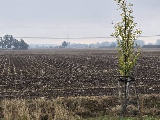 Land-/Forstwirtschaft zum Kauf 190.000 € 99.164 m² Grundstück Quitzöbel Legde/Quitzöbel 19336