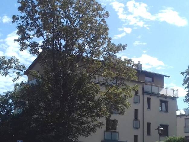 Penthouse zur Miete 2.650 € 4 Zimmer 113 m² 3. Geschoss frei ab 01.01.2027 Garching Garching bei München 85748