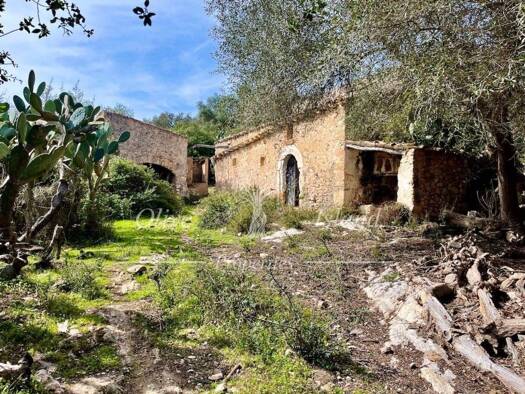 Acker-/Waldstück zum Kauf 850.000 € Sineu 07510