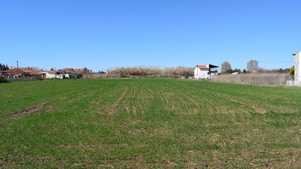 Land-/Forstwirtschaft zum Kauf 110.000 € 4.008 m² Grundstück Chalkidiki