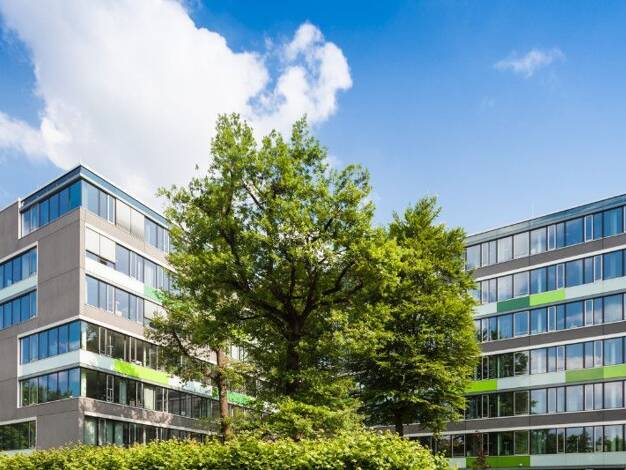 Halle/Industriefläche zum Kauf provisionsfrei 756.000 € 1.129 m² Lagerfläche Ramstein Ramstein-Miesenbach 66877