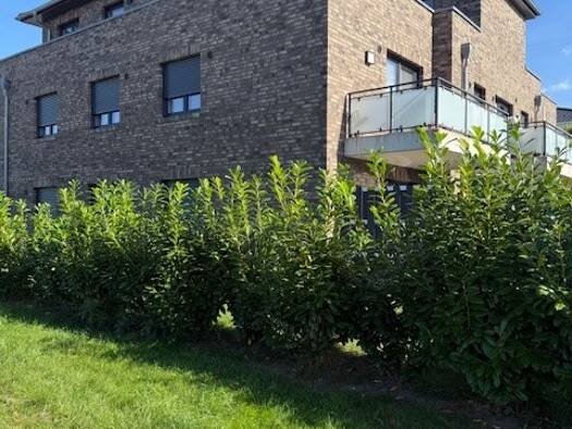 Wohnung zur Miete 819 € 3 Zimmer 65 m² Harsefeld Harsefeld 21698