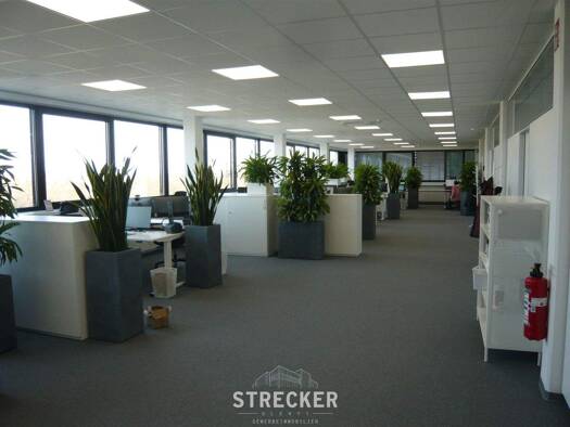 Bürofläche zur Miete 6,80 € 389 m² Bürofläche Beiertheim-Bulach Karlsruhe 76135