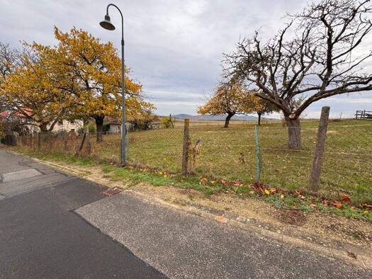 Grundstück zum Kauf 34.000 € 1.067 m² Grundstück Am Pfingstbruch 15 Lütersheim Volkmarsen 34471