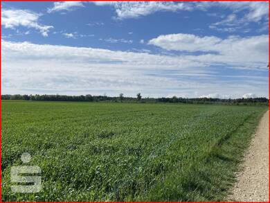 Land-/Forstwirtschaft zum Kauf 19.220 m² Grundstück Bissingen Bissingen 86657