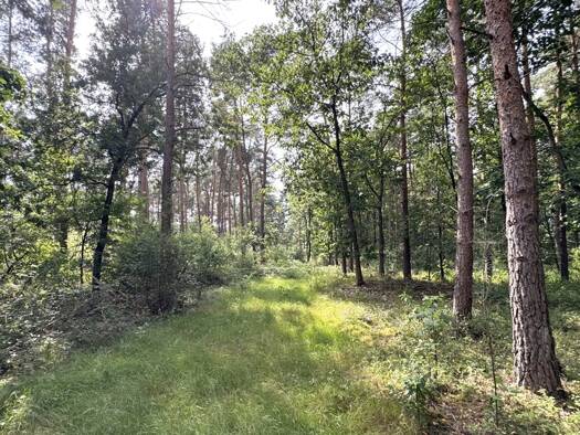 Forstwirtschaft zum Kauf 74.000 € 27.293 m² Grundstück Astrup Wardenburg 26203