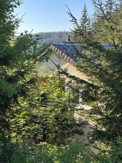 Wohnung zum Kauf provisionsfrei 135.000 € 2 Zimmer 68 m² Geschoss 2/2 Schönwald im Schwarzwald 78141