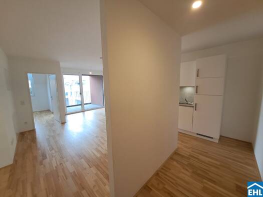 Wohnung zur Miete 1.001 € 3 Zimmer 59,3 m² EG frei ab 01.09.2026 Ibsenstraße Wien 1150