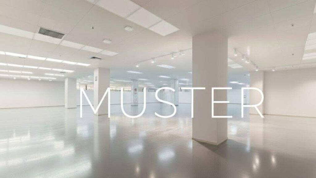 Verkaufsfläche zur Miete 12.000 € 1.000 m² Verkaufsfläche Weil am Rhein 79576