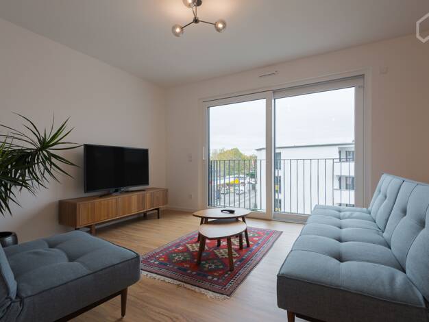 Wohnung zur Miete Wohnen auf Zeit 2.390 € 2 Zimmer 66 m² frei ab 01.01.2027 Sachsenhausen Frankfurt am Main 60596