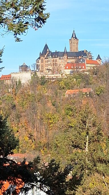 Mehrfamilienhaus zum Kauf als Kapitalanlage geeignet 760.000 € 21 Zimmer 558 m² 8.012 m² Grundstück Wernigerode Wernigerode 38855