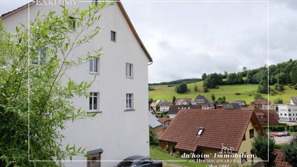 Mehrfamilienhaus zum Kauf als Kapitalanlage geeignet 420.000 € 10 Zimmer 382 m² 1.387 m² Grundstück Lenzkirch 79853