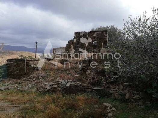 Land-/Forstwirtschaft zum Kauf 90.000 € Municipality of Tinos 842 00