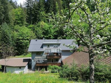Land-/Forstwirtschaft zum Kauf 1.950.000 € Durbach Durbach 77770
