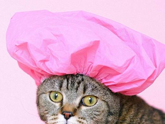 Haus zur Miete 1.003 € Lausitzer Straße 4 Kreuzberg Berlin 10999