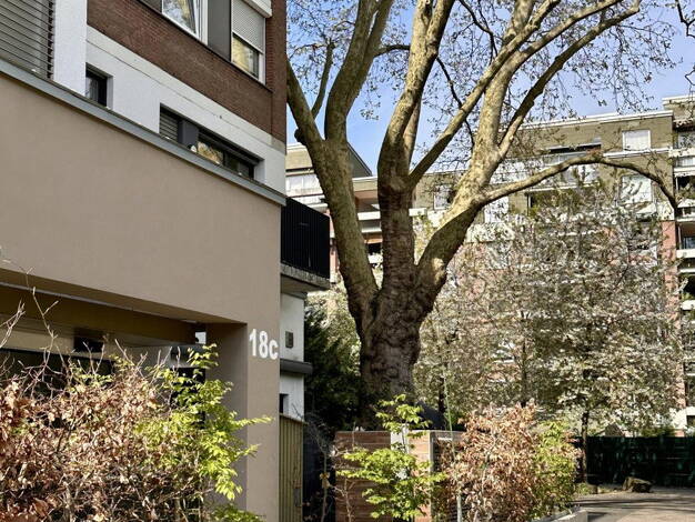 Wohnung zur Miete 1.490 € 4 Zimmer 105 m² 1. Geschoss frei ab 01.06.2026 Nesselrodestr. 18 b Niehl Köln 50735