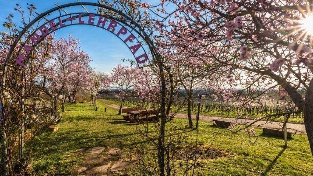 Grundstück zum Kauf 368.000 € 721 m² Grundstück Gimmeldingen Neustadt 67435