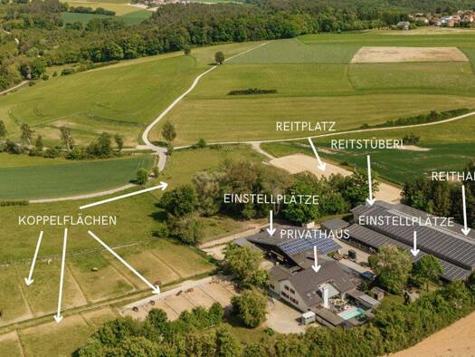 Reiterhof zum Kauf 4.950.000 € 80.920 m² Grundstück Schneckenbach Sinzing 93161