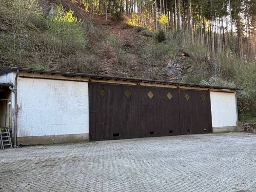Haus zur Miete 700 € 1 Zimmer 200 m² frei ab sofort Schönecken 54614