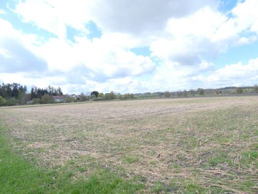 Grundstück zum Kauf 35.000 m² Grundstück Starzhausen Wolnzach 85283