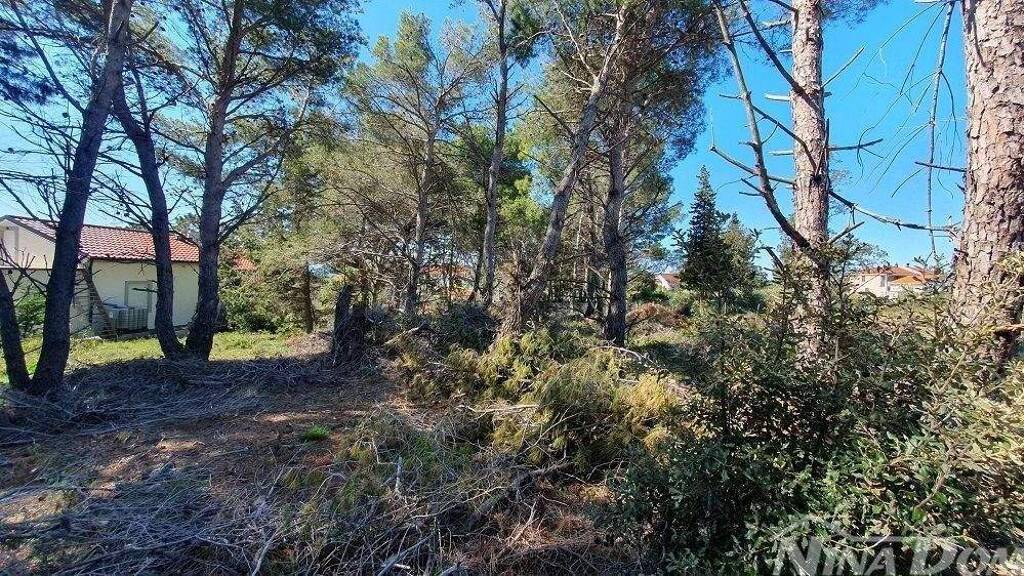 Land-/Forstwirtschaft zum Kauf 155.360 € Vir