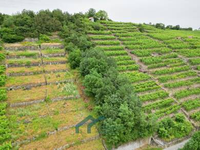 Land-/Forstwirtschaft zum Kauf 800 m² Grundstück Besigheim Besigheim 74354