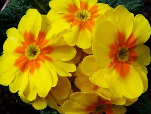 Mehrfamilienhaus zum Kauf 716.599 € 5,5 Zimmer 211 m² 565 m² Grundstück Werne 59368