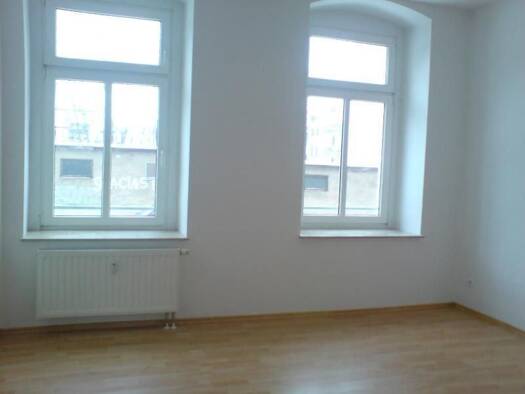 Wohnung zur Miete 279 € 1,5 Zimmer 41 m² 1. Geschoss frei ab 01.07.2026 Reinsdorfer Strasse 42 Südvorstadt Plauen 08523