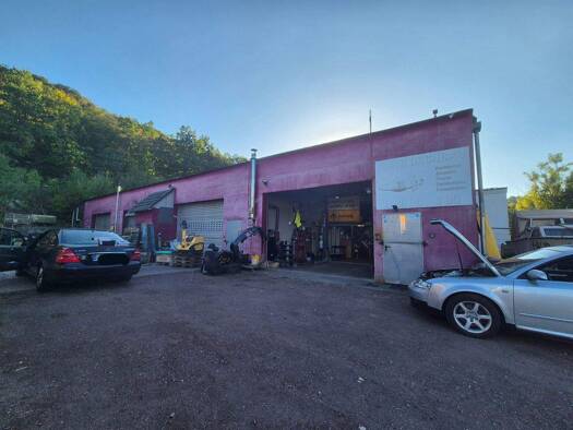 Lagerhalle zum Kauf 649.000 € 450 m² Lagerfläche Dieblich 56332