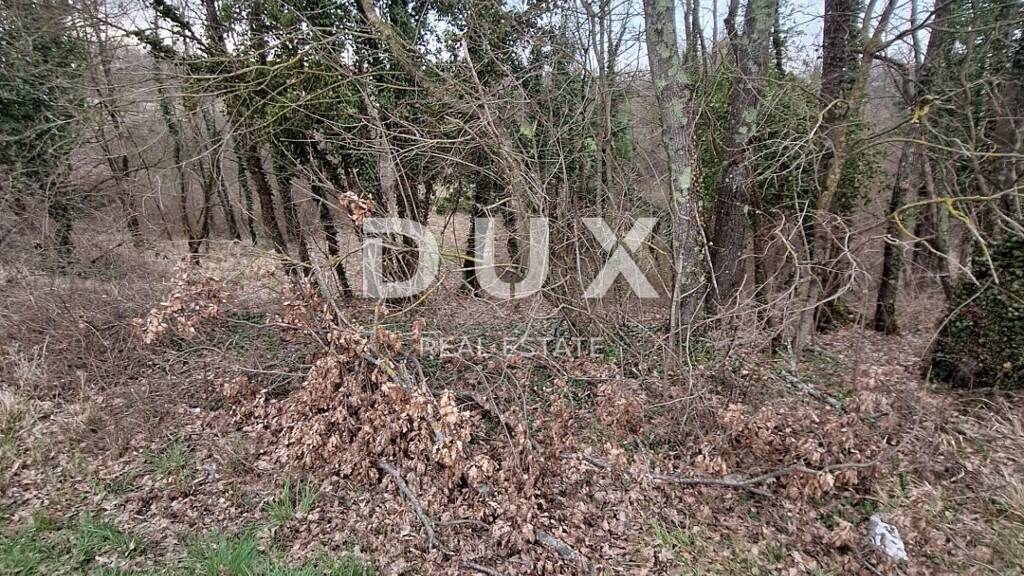 Land-/Forstwirtschaft zum Kauf 68.000 € Zminj 52341