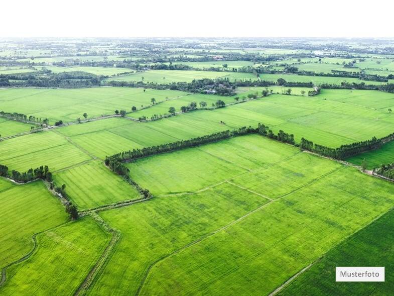 Grundstück zur Zwangsversteigerung provisionsfrei 10.100 € 8.760 m² Grundstück Obertrubach Obertrubach 91286