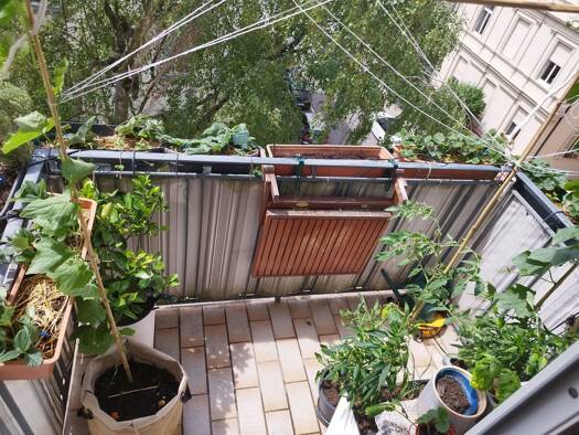 Wohnung zur Miete 1.370 € 3 Zimmer 69 m² Westend-Süd Innenstadt II 60323