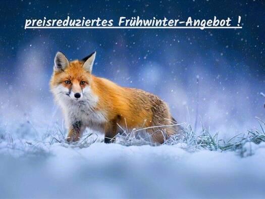 Mehrfamilienhaus zum Kauf 219.000 € 9 Zimmer 204 m² 276 m² Grundstück Mundelsheim 74395