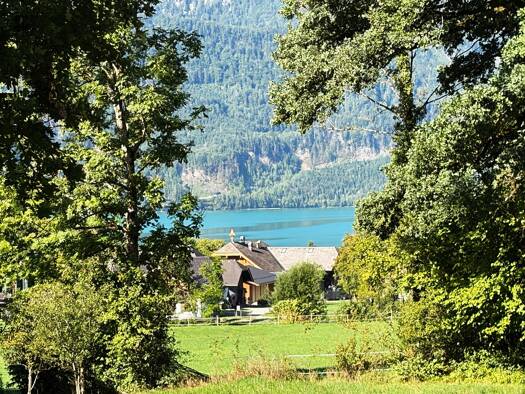 Grundstück zum Kauf 790.000 € 1.138 m² Grundstück Sankt Gilgen 5360