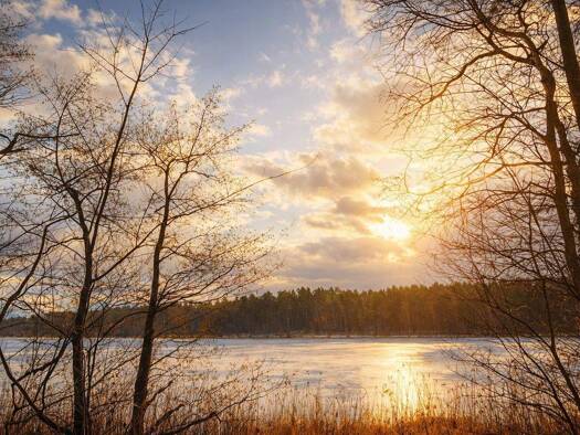 Einfamilienhaus zum Kauf 399.000 € 4 Zimmer 90 m² 1.626 m² Grundstück Schönberg Neuruppin 16835