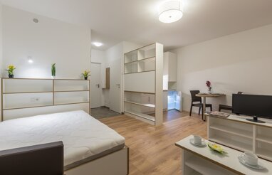 Wohnung zur Miete 462,15 € 1 Zimmer 30 m² Viktor-Franz-Hess-Straße Wiener Neustadt 2700