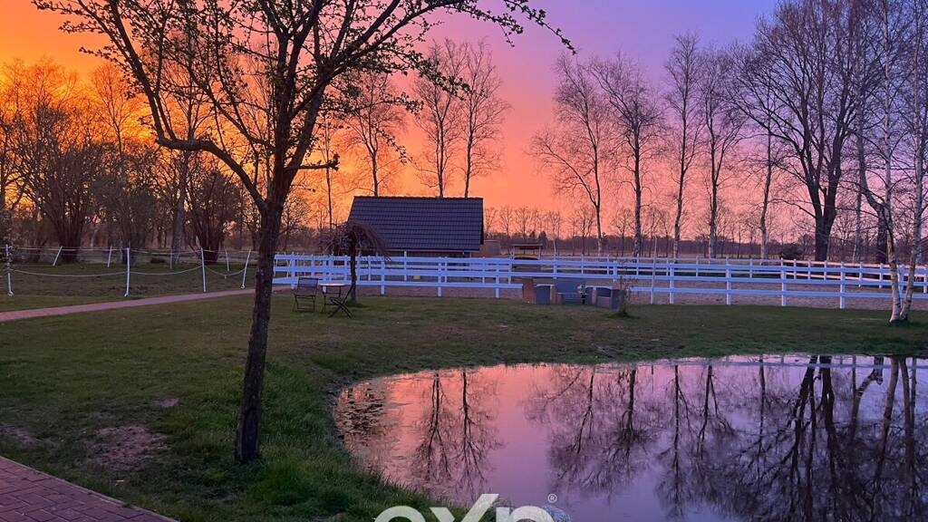 Mehrfamilienhaus zum Kauf 1.800.000 € 12,5 Zimmer 650 m² 5.737 m² Grundstück Moorwinkelsdamm Bockhorn / Moorwinkelsdamm 26345